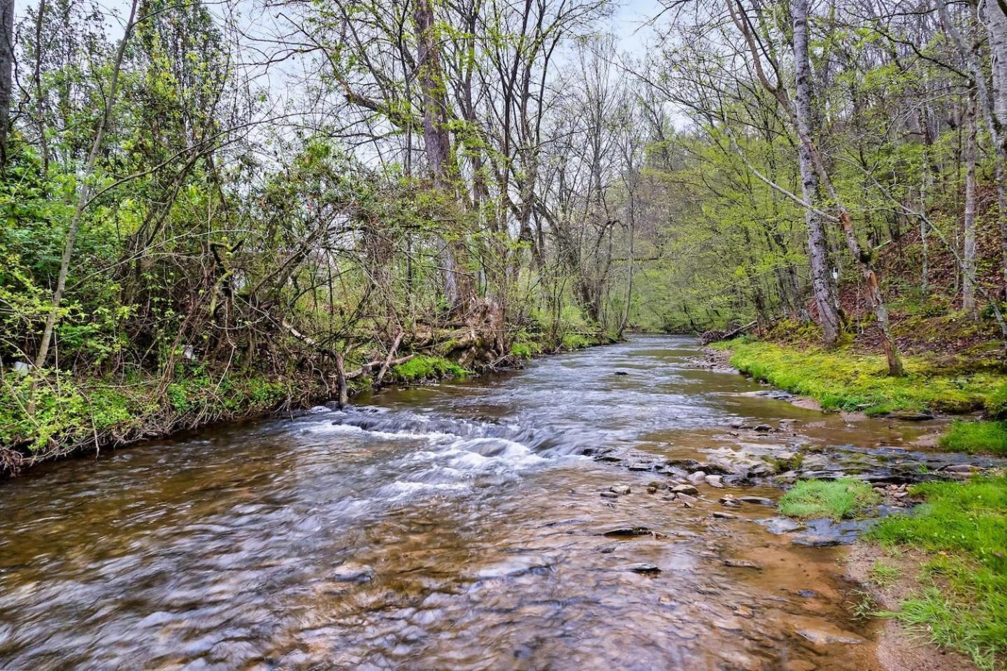 1 Mile To Pkwy, Pets, Hot Tub, Creekside, Porch Villa Pigeon Forge Exterior foto